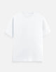 Essential Regular Fit T-Shirt for Men
